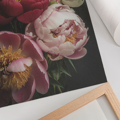 Foto su tela Peonie multicolori su sfondo scuro