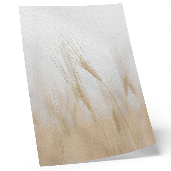 Foto su tela Eleganza minimalista delle spighe di grano