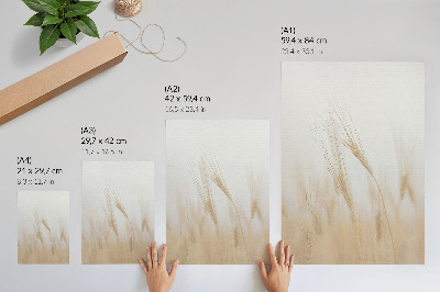 Foto su tela Eleganza minimalista delle spighe di grano
