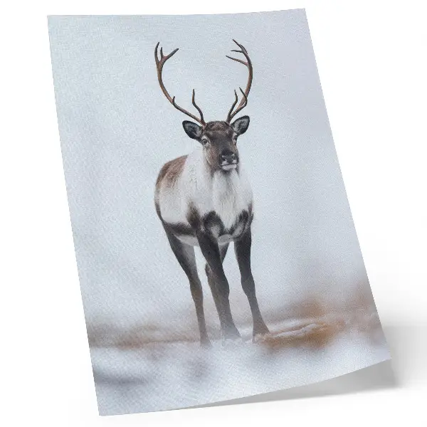 Foto su tela renne in un paesaggio invernale con tonalità calde dal design moderno