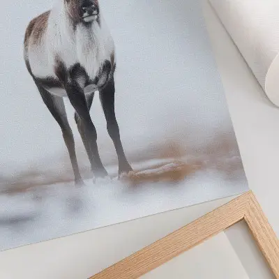 Foto su tela renne in un paesaggio invernale con tonalità calde dal design moderno