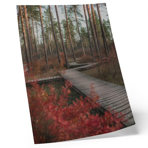 Foto su tela Sentiero in legno, alberi della foresta, colori autunnali