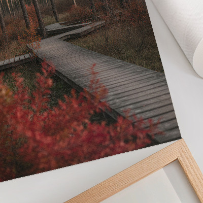 Foto su tela Sentiero in legno, alberi della foresta, colori autunnali