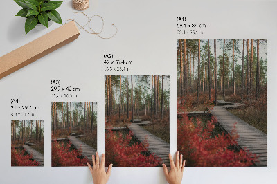 Foto su tela Sentiero in legno, alberi della foresta, colori autunnali