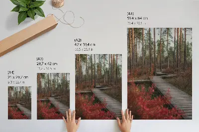Foto su tela sentiero in legno tra gli alberi della foresta con colori autunnali