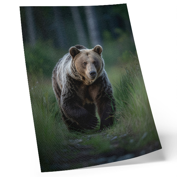 Stampa su tela Un orso fiero nel suo ambiente forestale