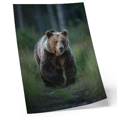 Stampa su tela Un orso fiero nel suo ambiente forestale