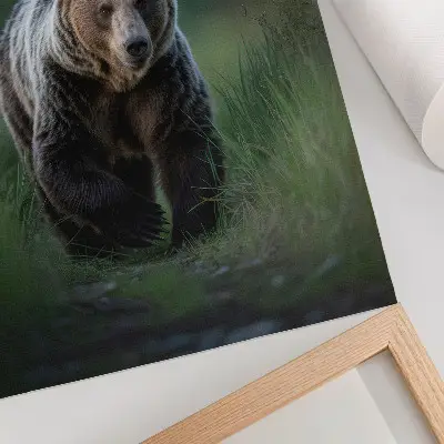 Stampa su tela orso fiero nel suo ambiente forestale
