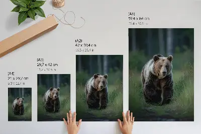 Stampa su tela orso fiero nel suo ambiente forestale