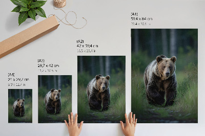 Stampa su tela Un orso fiero nel suo ambiente forestale
