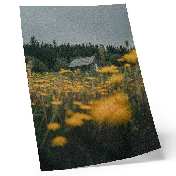 Stampa su tela Cottage rustico, foresta, fiori gialli sfocati