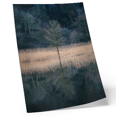 Poster Riflesso di un singolo albero nella nebbia del lago