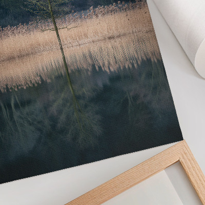 Poster Riflesso di un singolo albero nella nebbia del lago