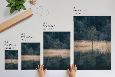 Poster Riflesso di un singolo albero nella nebbia del lago