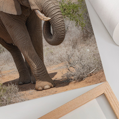 Stampa su tela Elefante nella savana, maestosa natura africana