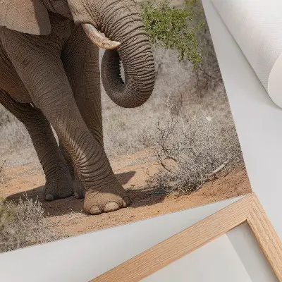 Stampa su tela raffigurazione di un elefante nella savana in un paesaggio africano