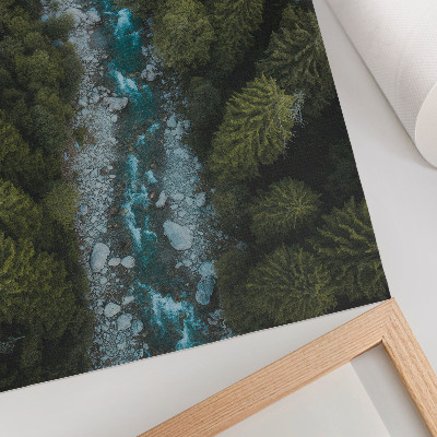 Foto su tela Fiume nella foresta verde in armonia naturale