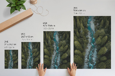 Foto su tela Fiume nella foresta verde in armonia naturale