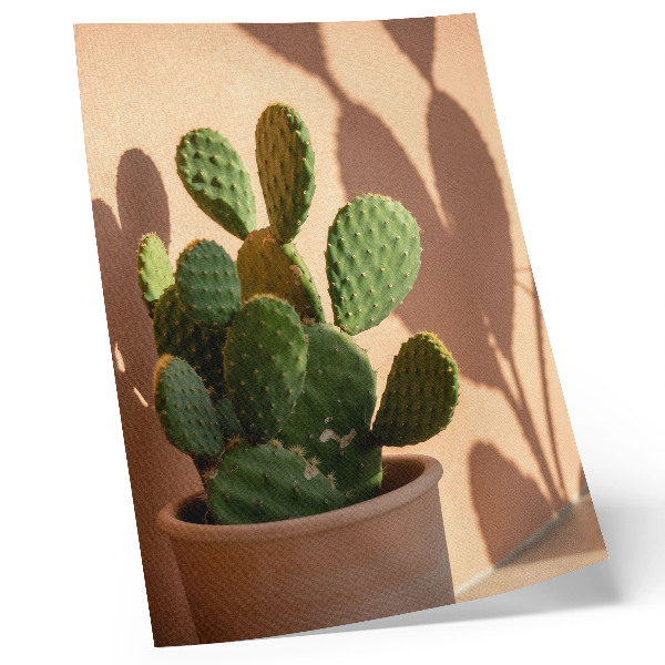 Foto su tela Cactus in vaso, ombre, colori delicati, rilassante