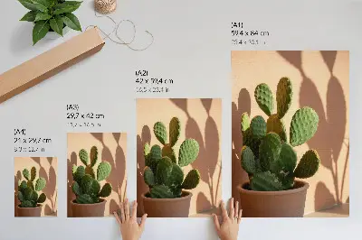 Foto su tela cactus in vaso con ombre e colori delicati rilassanti