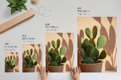 Foto su tela Cactus in vaso, ombre, colori delicati, rilassante