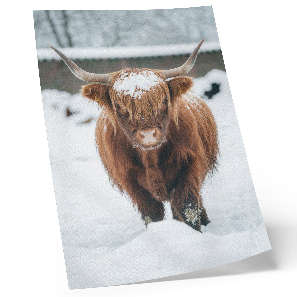 Poster Bestiame nella neve: il contrasto tra animale e natura
