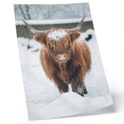 Poster Bestiame nella neve: il contrasto tra animale e natura