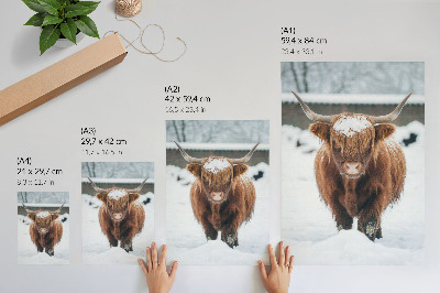 Poster Bestiame nella neve: il contrasto tra animale e natura