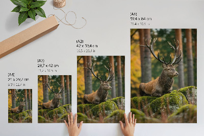 Stampa su tela Un maestoso cervo nel suo habitat forestale.