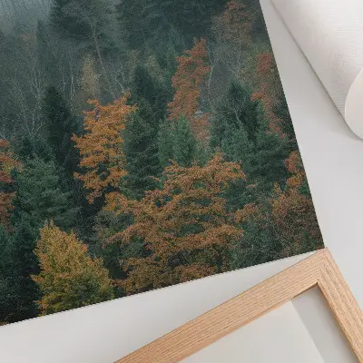 Foto su tela alberi verdi con foglie arancioni nella nebbia