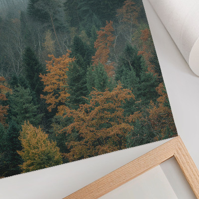 Foto su tela Alberi verdi nebbia foglie arancioni pace