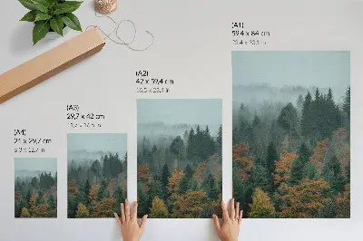 Foto su tela alberi verdi con foglie arancioni nella nebbia