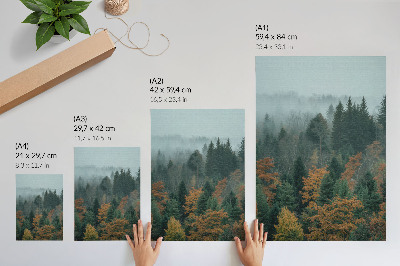 Foto su tela Alberi verdi nebbia foglie arancioni pace