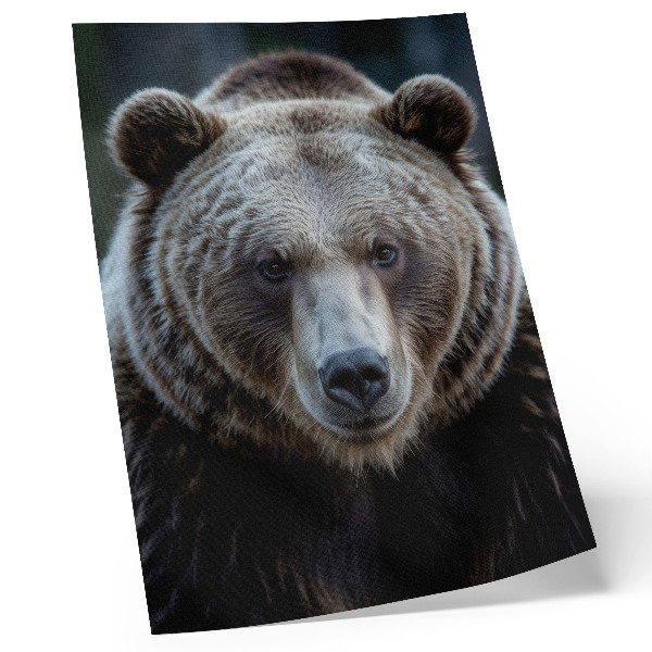 Stampa su tela Ritratto realistico di un orso, calmo e forte