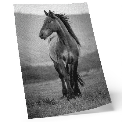 Poster Un cavallo affascinante, pieno di energia e grazia.