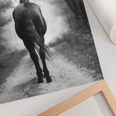 Stampa su tela fotografia di un cavallo in bianco e nero nella foresta