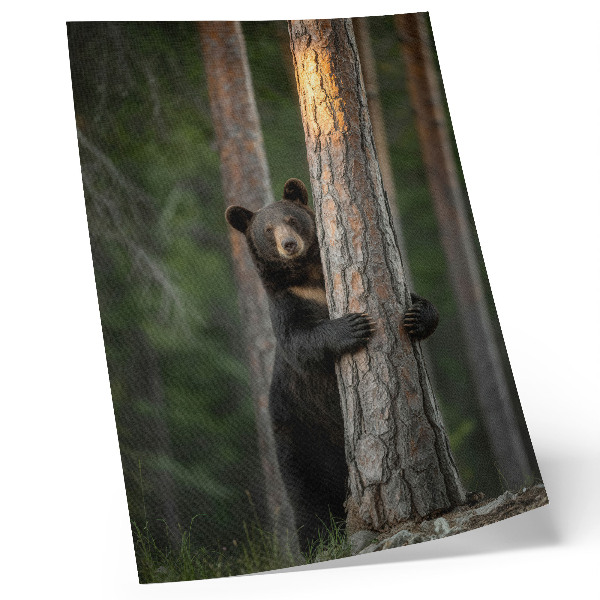 Poster Orso nella foresta, composizione realistica