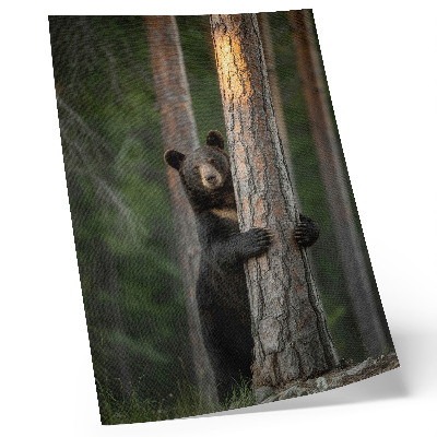 Poster Orso nella foresta, composizione realistica