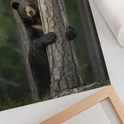 Poster orso nella foresta con composizione realistica