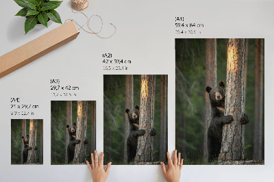 Poster Orso nella foresta, composizione realistica
