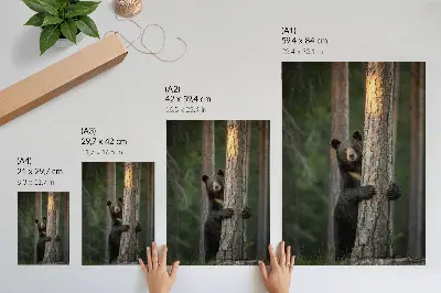 Poster orso nella foresta con composizione realistica