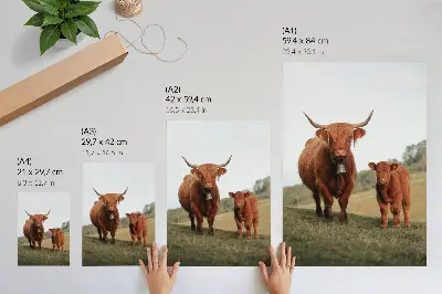 Foto su tela bovini rustici con sfondo di alberi e vegetazione