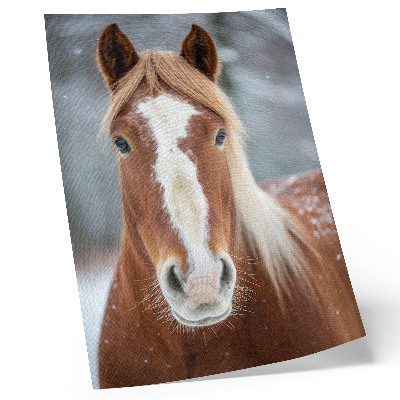 Poster Ritratto di cavallo, pace invernale, naturalezza, armonia