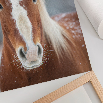 Poster Ritratto di cavallo, pace invernale, naturalezza, armonia