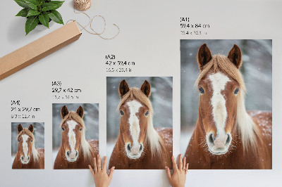 Poster Ritratto di cavallo, pace invernale, naturalezza, armonia