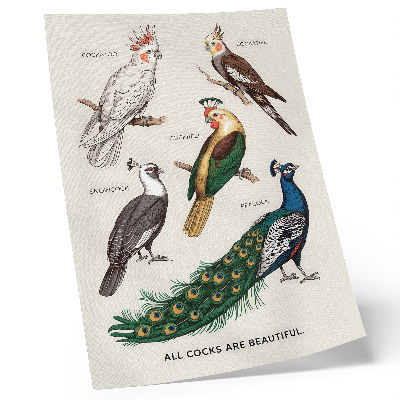 Stampa su tela Uccelli eleganti, piume, colori diversi