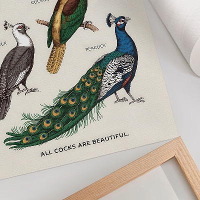 Stampa su tela Uccelli eleganti, piume, colori diversi