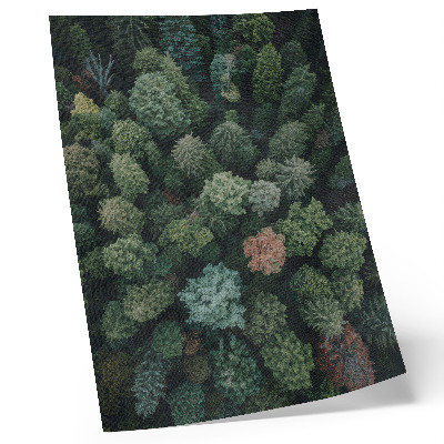 Foto su tela Paesaggio forestale visto dall'alto con foglie di vari colori