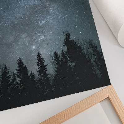 Stampa su tela Un cielo notturno pieno di stelle e sagome di alberi