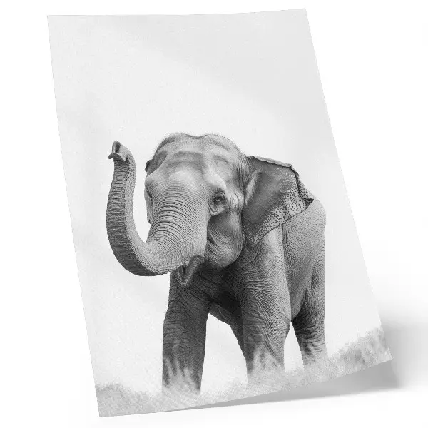 Poster elefante monocromatico con proboscide alzata